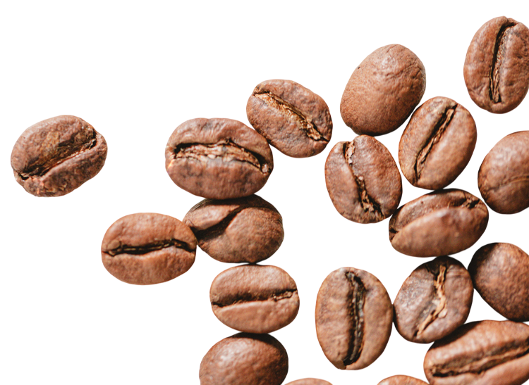 coffee beans
